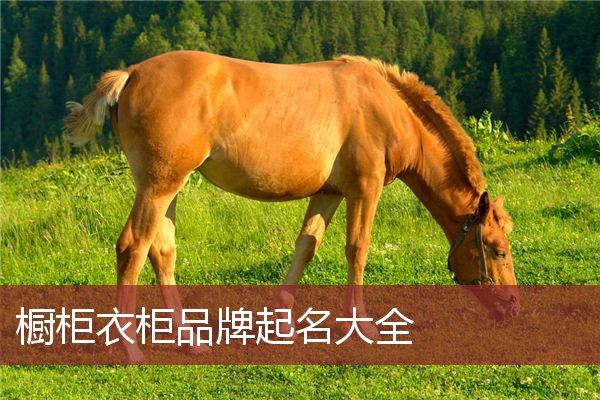 橱柜衣柜品牌起名大全