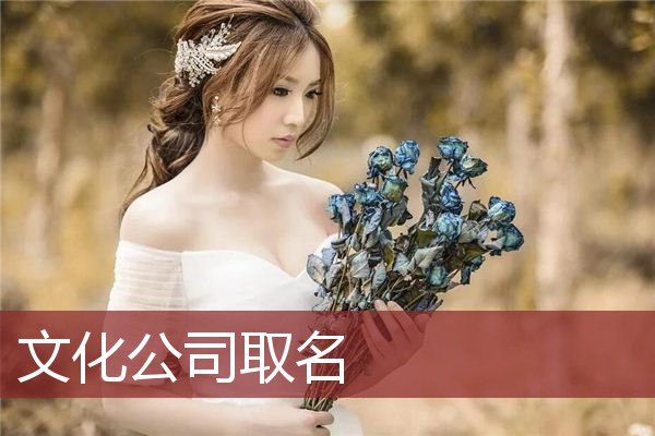 文化公司取名