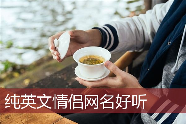 纯英文情侣网名好听