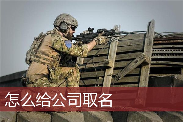怎么给公司取名