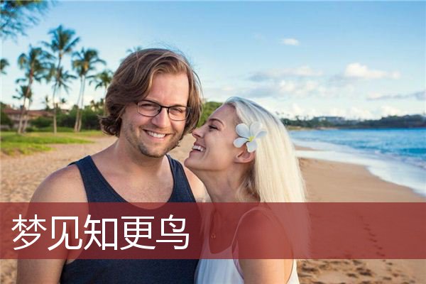 梦见知更鸟