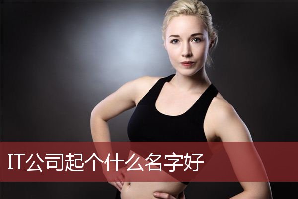 IT公司起个什么名字好