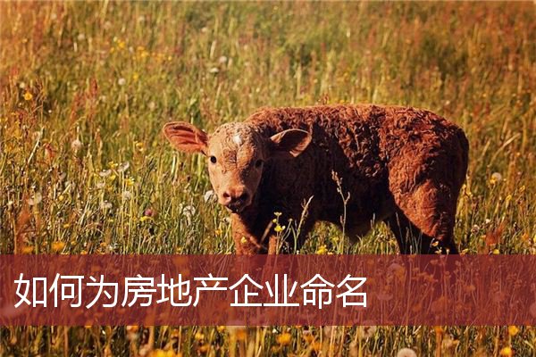 如何为房地产企业命名