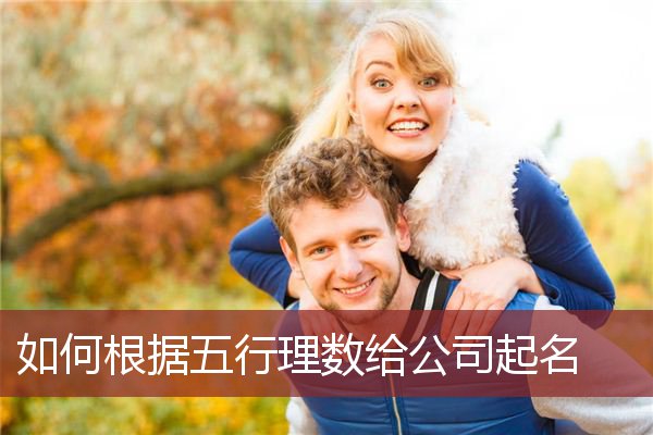 如何根据五行理数给公司起名