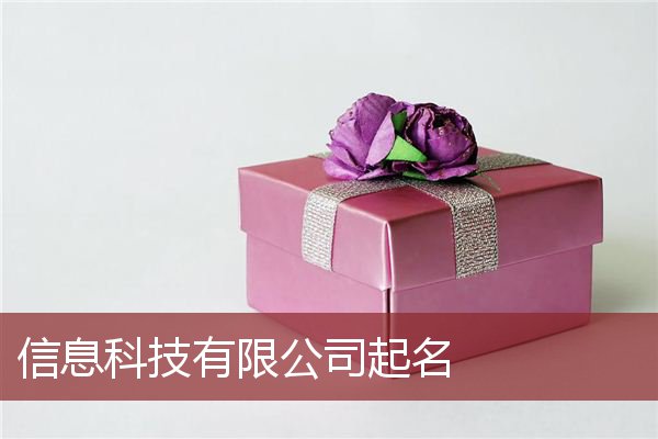 信息科技有限公司起名