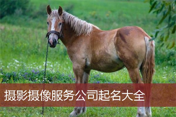 摄影摄像服务公司起名大全