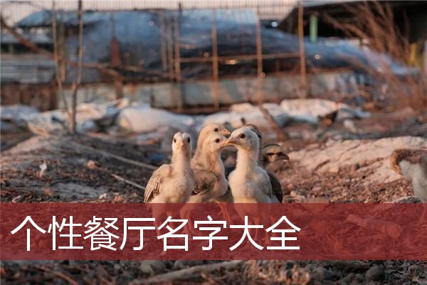 个性餐厅名字大全