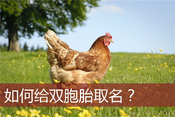 如何给双胞胎取名？