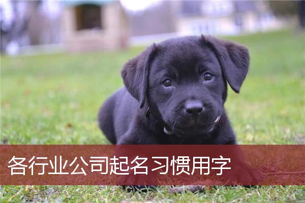 各行业公司起名习惯用字