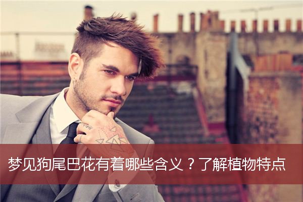 梦见狗尾巴花有着哪些含义？了解植物特点