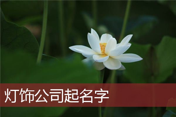 灯饰公司起名字