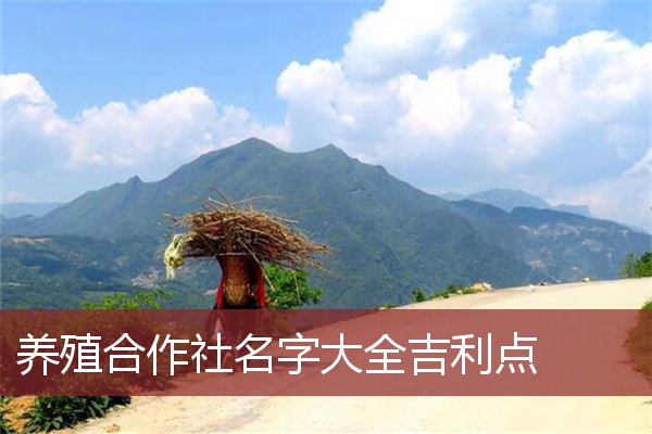 养殖合作社名字大全吉利点