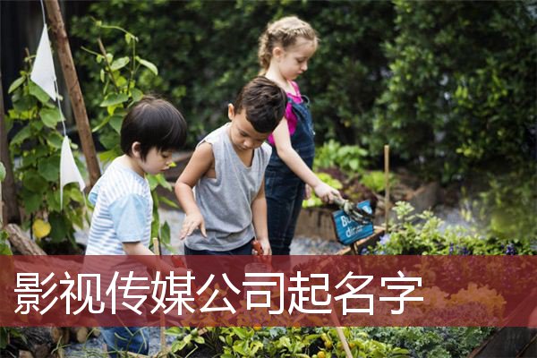 影视传媒公司起名字