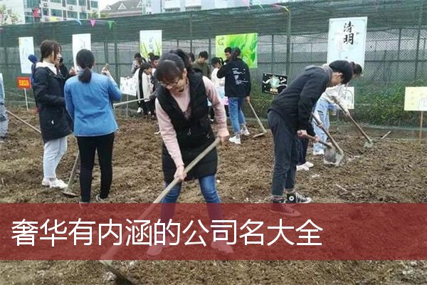 奢华有内涵的公司名大全