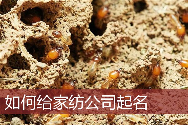 如何给家纺公司起名