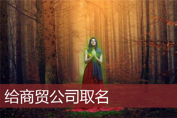 给商贸公司取名