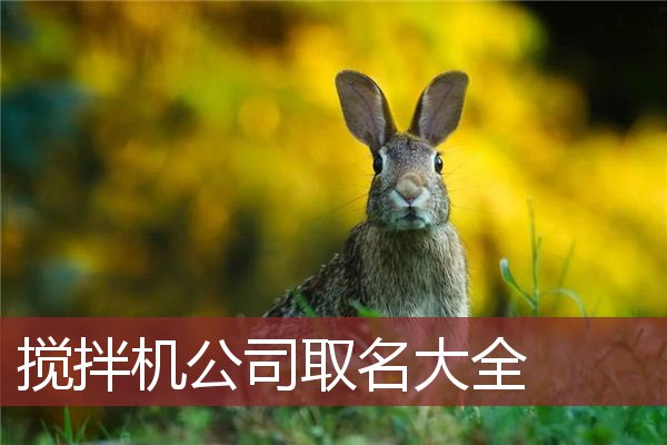 搅拌机公司取名大全