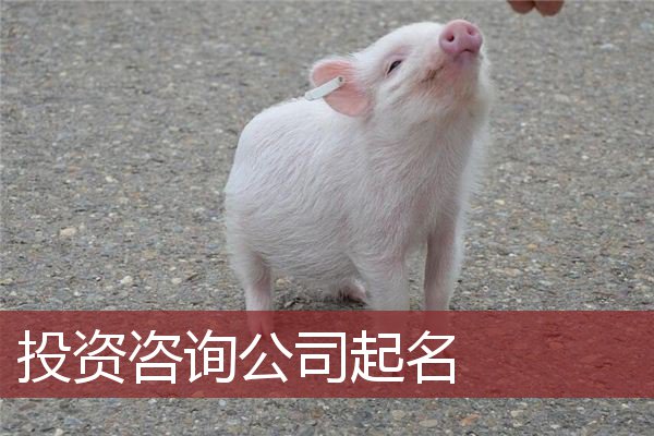 投资咨询公司起名