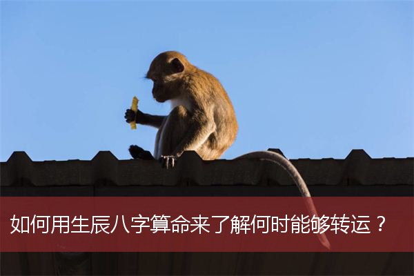 如何用生辰八字算命来了解何时能够转运？