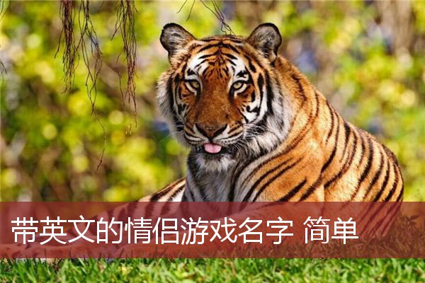 带英文的情侣游戏名字 简单