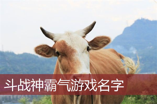 斗战神霸气游戏名字