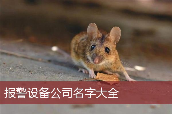 报警设备公司名字大全