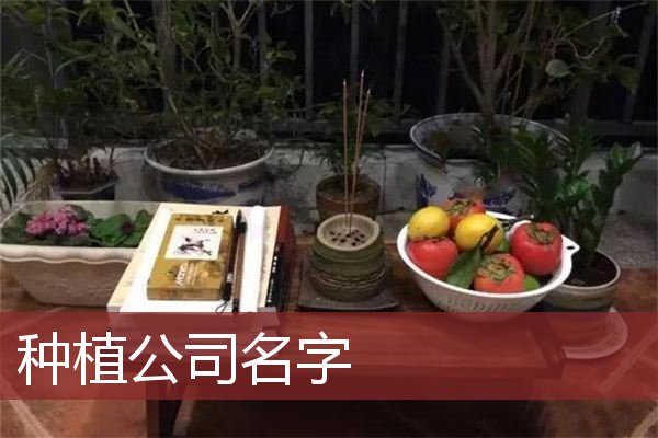 种植公司名字