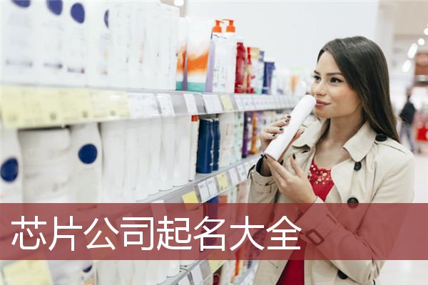 芯片公司起名大全