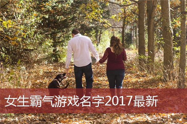 女生霸气游戏名字2017最新