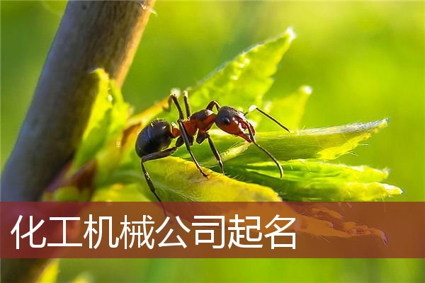 化工机械公司起名