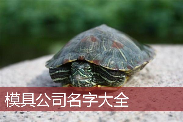 模具公司名字大全