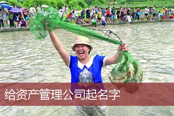 给资产管理公司起名字