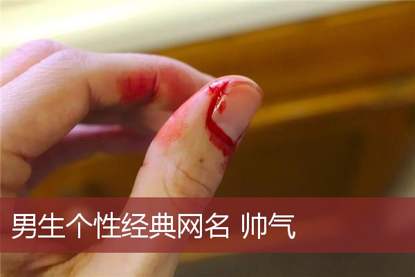 男生个性经典网名 帅气