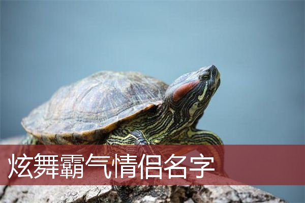 炫舞霸氣情侶名字_遊戲網名_qq網名大全