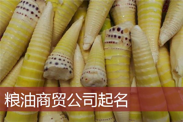 粮油商贸公司起名