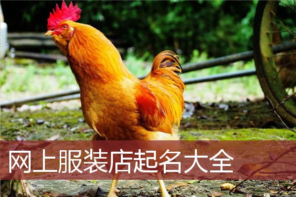 网上服装店起名 大全