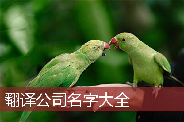 翻译公司名字大全