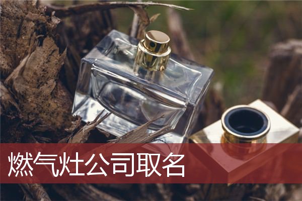 燃气灶公司取名