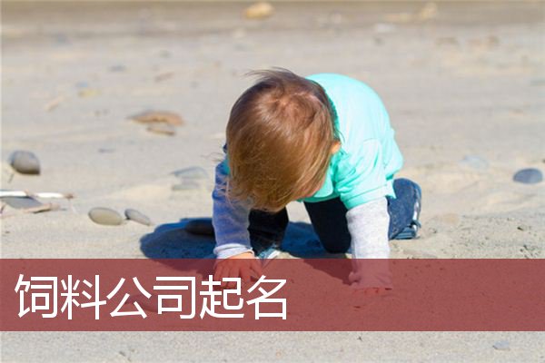 饲料公司起名