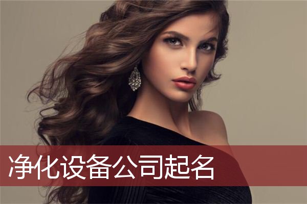 净化设备公司起名