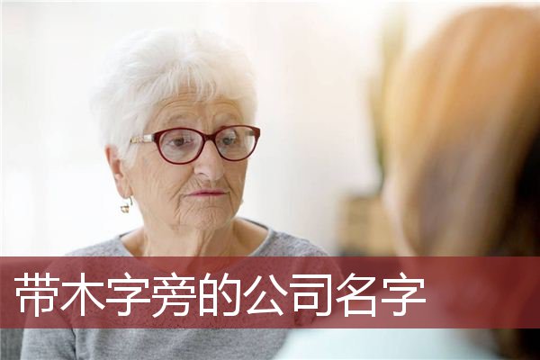 带木字旁的公司名字