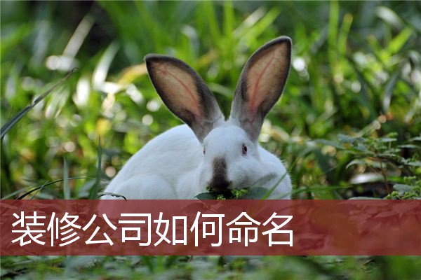 装修公司如何命名
