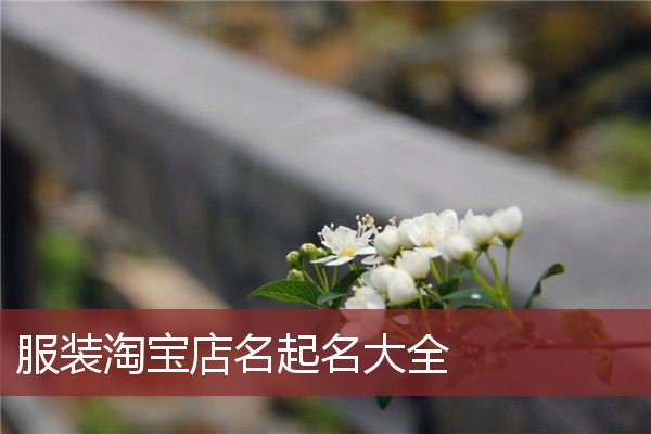 服装淘宝店名起名大全
