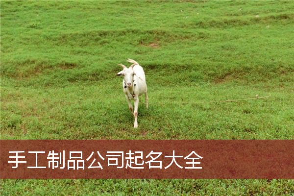 手工制品公司起名大全