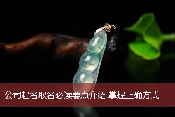 公司起名取名必读要点介绍 掌握正确方式