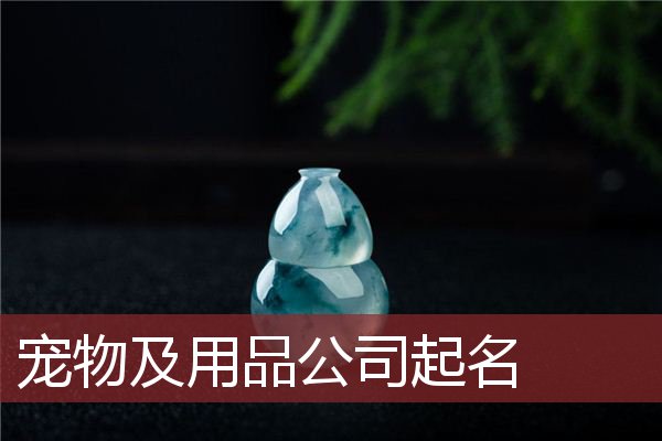 宠物及用品公司起名