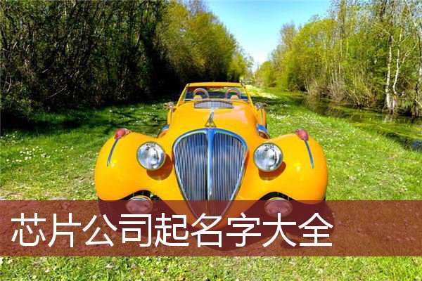 芯片公司起名字大全