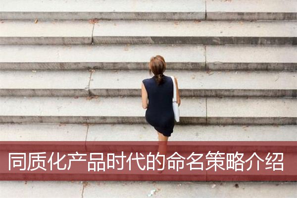 同质化产品时代的命名策略介绍