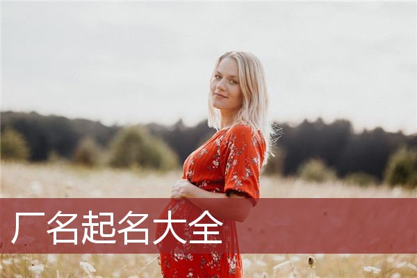 厂名起名大全