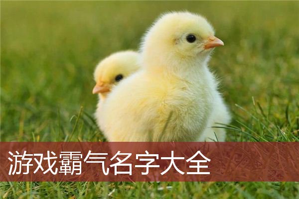 游戏霸气名字大全